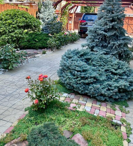 Аритэль Гостевой Дом, Забронировать Апартаменты/квартира Геленджик Берег Геленджика