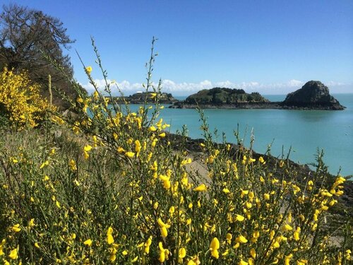 Smallholding Vauhariot, Book Hotel Saint Malo 