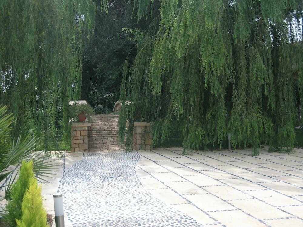 Villa Tosca. Son Menut