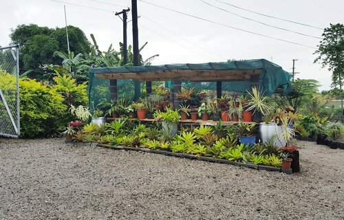 Uili's Farm House, Réserver Séjour à la ferme Apia-Fagali 