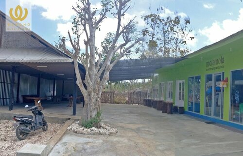 The Warong Nusa Penida - Hostel, Boek Hostel Hostels in Bali, Hostel