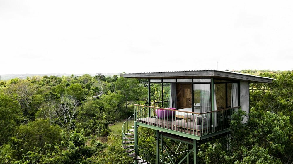 The Canopy