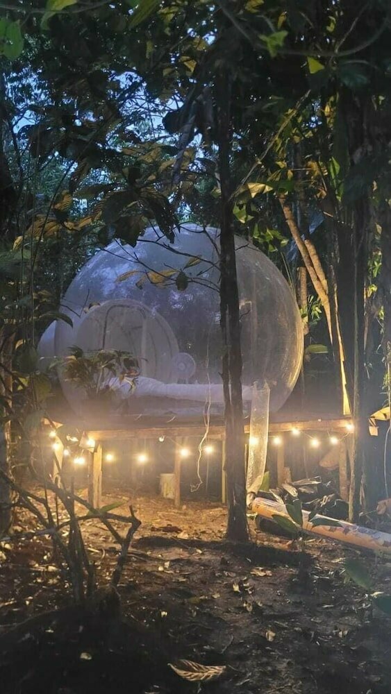 Glamping Amazonas
