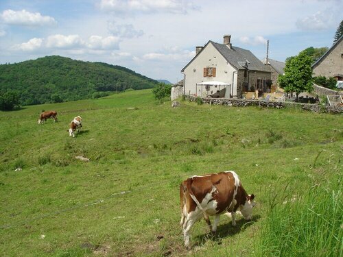 Chez Marraine, Book Hotel Hoteller i Rhône-Alps med parkering, Parkering