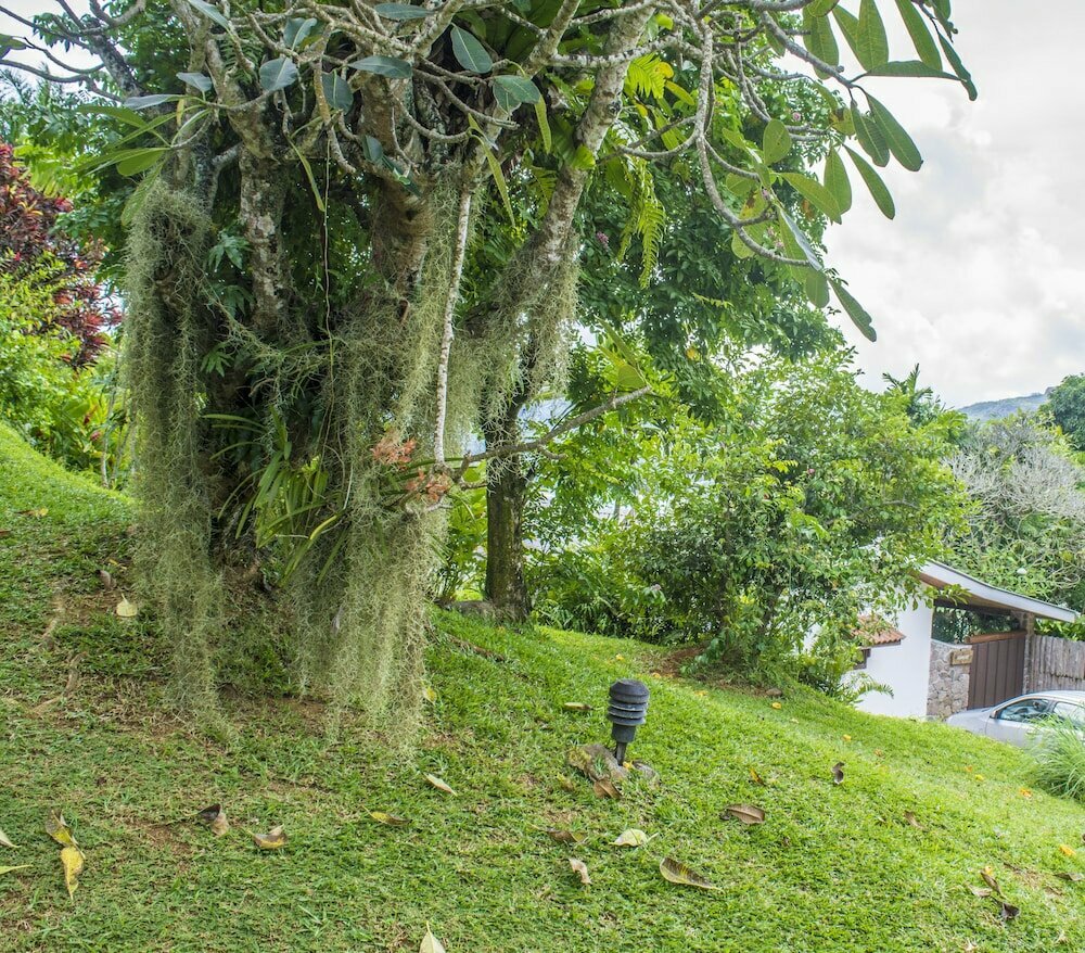 Anse Soleil Beachcomber Hotel and Self Catering