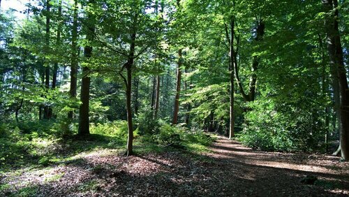 FeWo-Schuberski, Забронировать Апартаменты/квартира Детмольд Teutoburg Forest