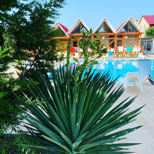 Гранд Отель Сухум, Забронировать Отель Бизнес-отели Сухум, 4* 5*