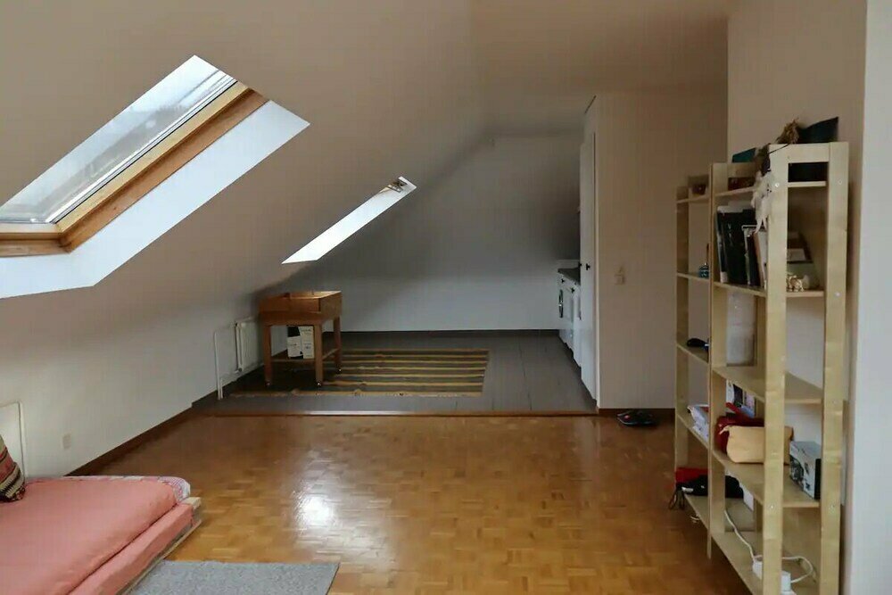 Service Loft in Central Geneva