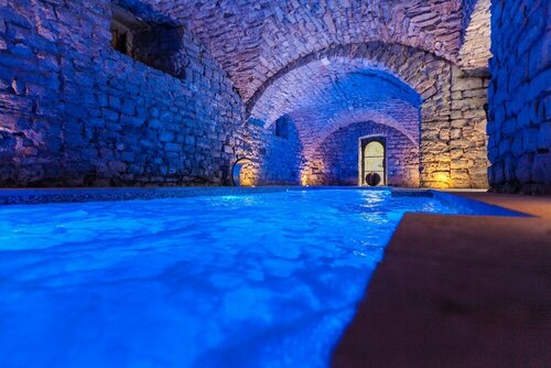 Château de Saint Félix, Book Hotel Saint-Felix-de-Pallieres Languedoc-Roussillon