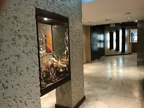 Luz y Fuerza, Rezervați Hotel Hoteluri în Buenos Aires cu mese, Demipensiune / Pensiune completă