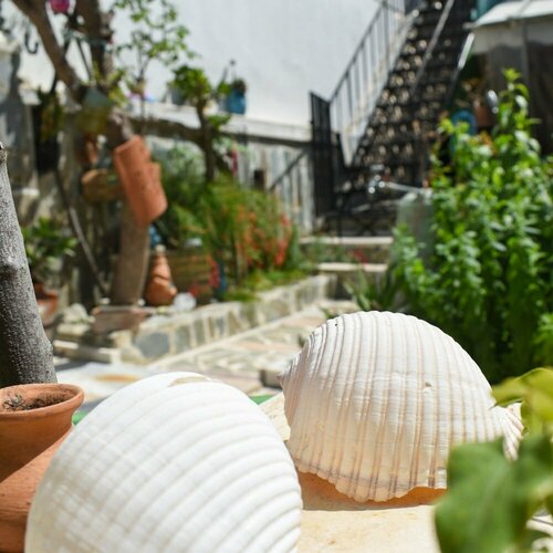 Urban Seaside Oasis - Adrianas Garden Paradise, Забронировать Апартаменты/квартира Каламата Messinia