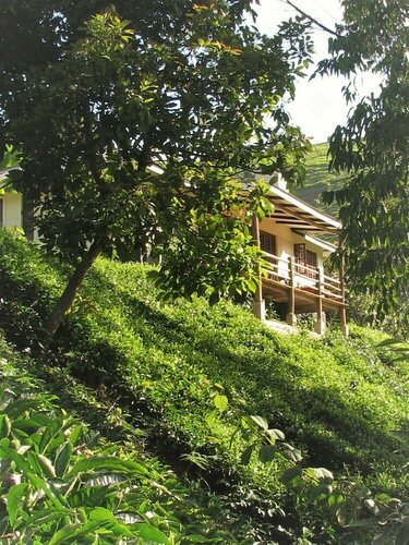 Kimakia Tea Cottages, Varaa Lomakoti Central huvilat, Villa