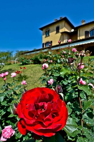 Resort Sabino, Забронировать Отель СПА-отели Поджо-Катина, SPA-услуги