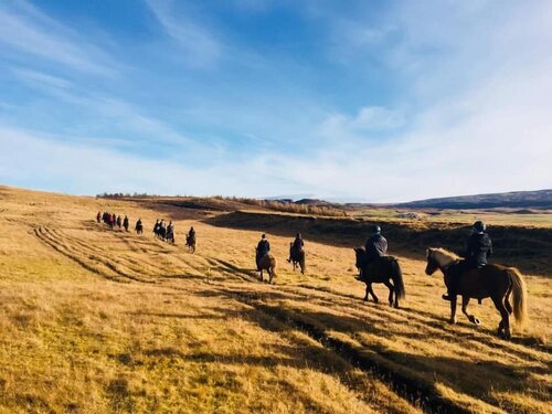 Skálinn between Gullfoss and Geysir – Myrkholt Farm