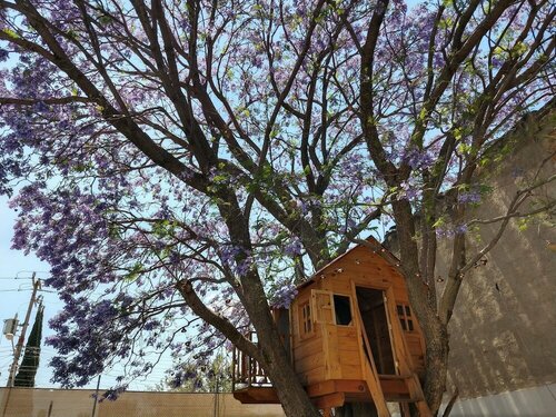 Hermosa casa con jardin y alberca, Book Feriehus Zapopan Jalisco