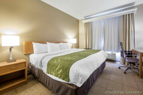 Comfort Suites Lexington, Book Hotel Lexington Bourbon Trail Kentucky