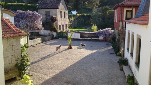Quinta Da Ventozela - Turismo De HabitaA§A£o, Reserva ahora Hotel Cinfaes Douro
