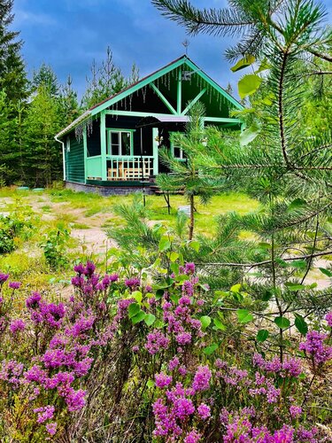 Вереск, Забронировать Гостевой дом Сяндеба Олонецкий район