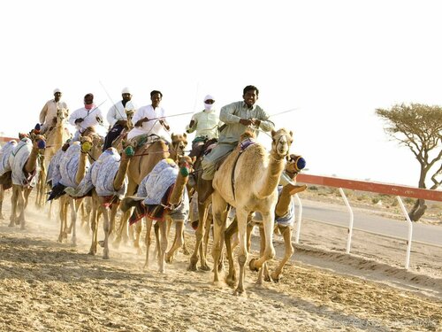 Oryx Grand Hotel Jebel Hafeet, Забронировать Отель Эль-Айн Эмират Абу-Даби