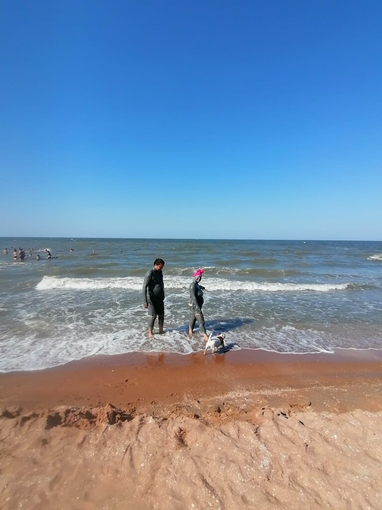 Сафари