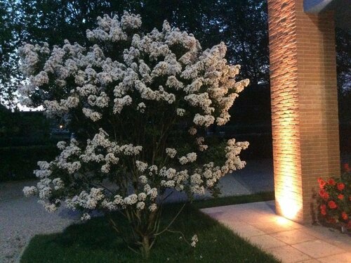 Hotel Due Torri Tempesta, Book Hotel Noale Veneto