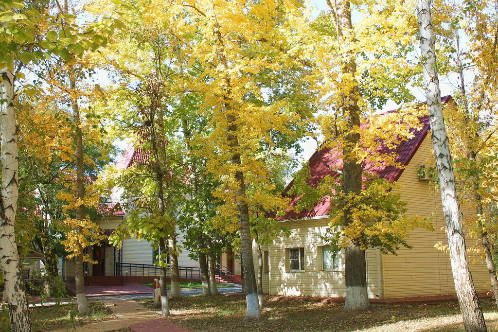 Пересвет