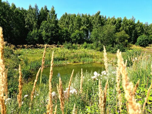 Дома у Озера в Борщево, Забронировать Гостевой дом Гостевые дома городского округа Клина, Гостевой дом
