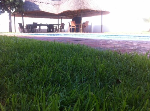 Cosy Palms Guest House, Prenota Affittacamere Affittacamere a Gaborone, Affittacamere