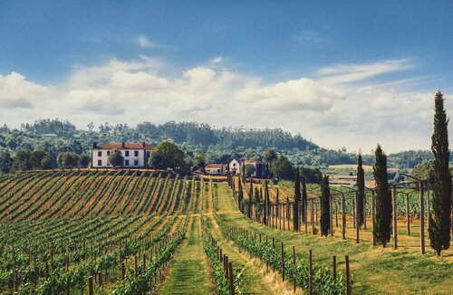 Terra Rosa Country House & Vineyards, Забронировать Дом для отпуска Отели Понте-де-Лима с парковкой, Парковка