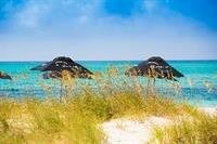 Kokomo Botanical Resort - Caribbean Family Cottages, Забронировать Курортный отель Тертл-Ков Провиденшиалс