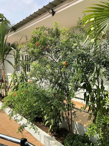 Guest House Terezinha, Varaa Matkakoti Hotellit Luanda pysäköinnillä, Pysäköinti