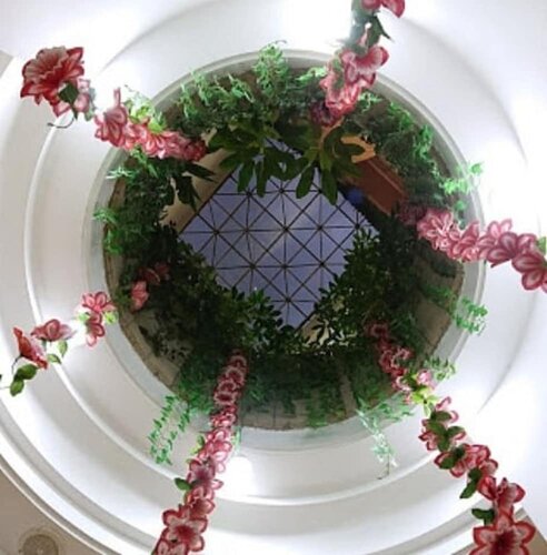 Hotel Azores, Book Hotel Billige hoteller i Mexico DF