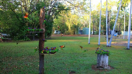 Batchelor Holiday Park, Забронировать Кемпинг Отели Аделаиды с парковкой, Парковка