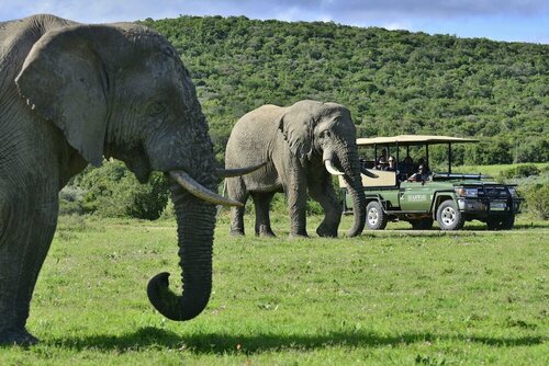 Shamwari Eagles Crag, Prenota Hotel Paterson Eastern Cape