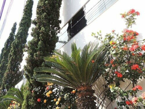 Realce Hotel, Забронировать Отель Отели Жау с парковкой, Парковка