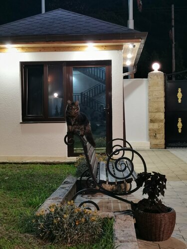 Vesna Hotel, Prenota Hotel Hotel 3 stelle a Sukhum, 3*