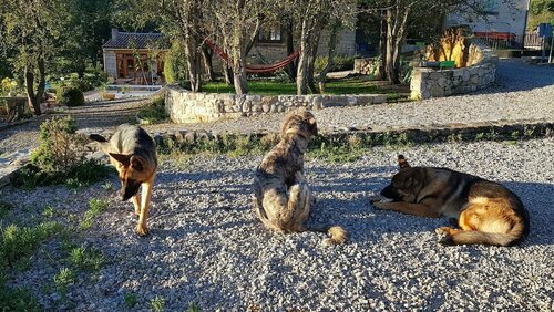 La Cocagnière - In a rural location, Réserver Hôtel Puivert Corbières