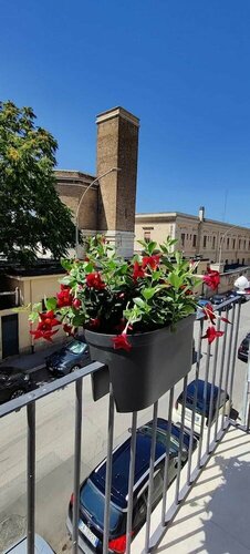 Binario1 Rooms, Foglalás Bed and Breakfast Barletta Apulia