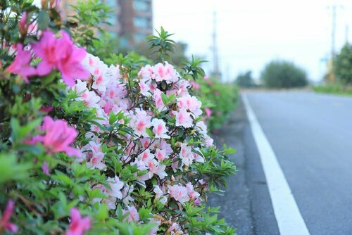 Village B & B, Prenota Hotel Wujie Yilan County