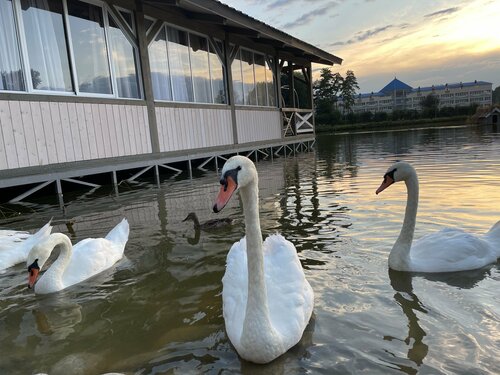Отель Лагуна, Забронировать Отель Кисловодск Кавминводы