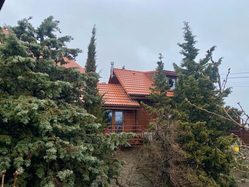 Sosna Home