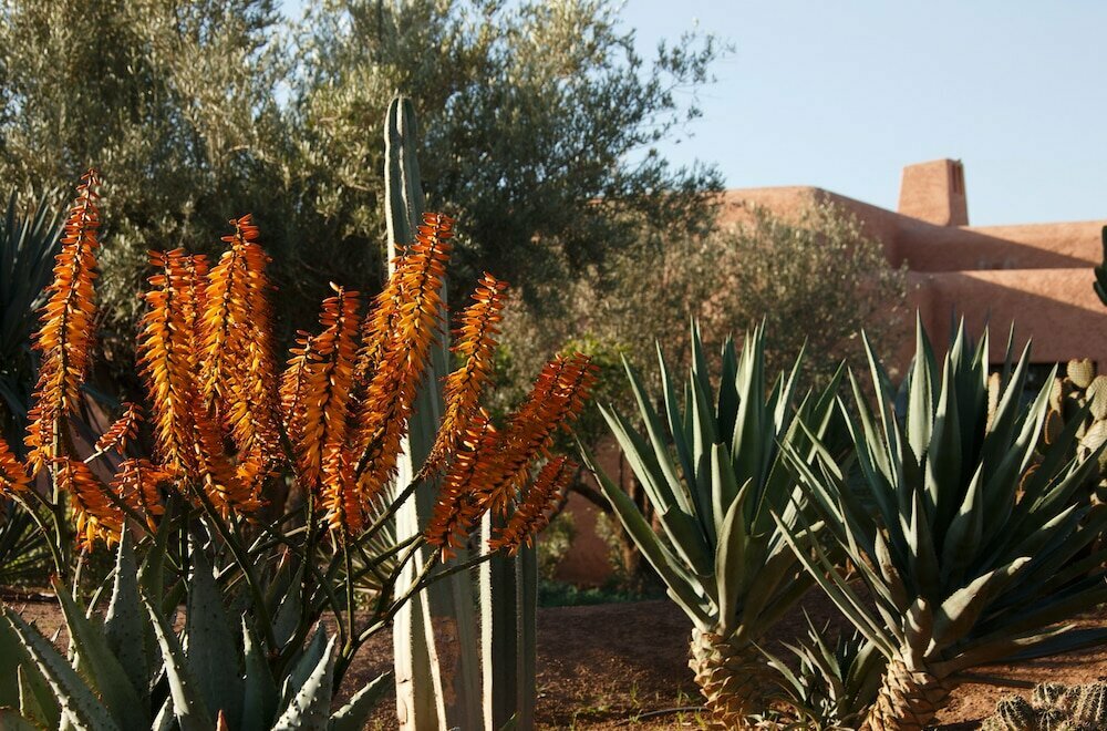 Oasis lodges